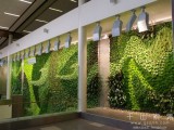 智能生态植物墙--让养护变得简单